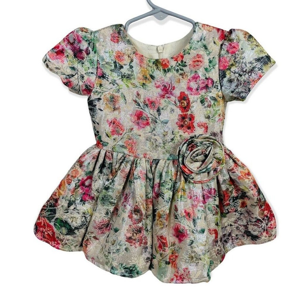 Girls Baby Holiday Party Dress Halabaloo Fancy Floral Sparkly Nordstrom 12m 12